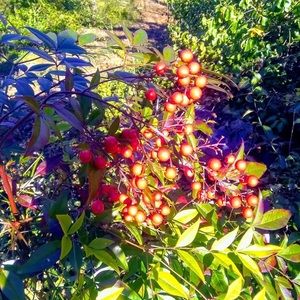 Meet your Posher, Jacquelyn